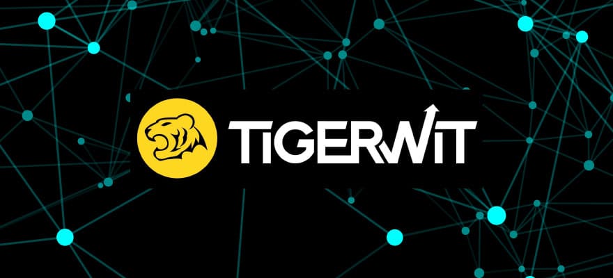 金融科技公司TigerWit给出2020年方案：扩张和多样化